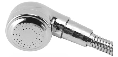 Regadera Cromada